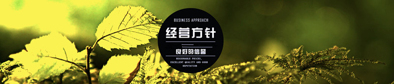 &#20339;&#21338;&#23448;&#26041;&#32593;&#39029;&#29256;&#45;&#20339;&#21338;&#65288;&#20013;&#22269;&#65289;
